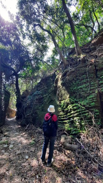 《彰化》原始峽谷｜八卦山一線天步道202502282723527