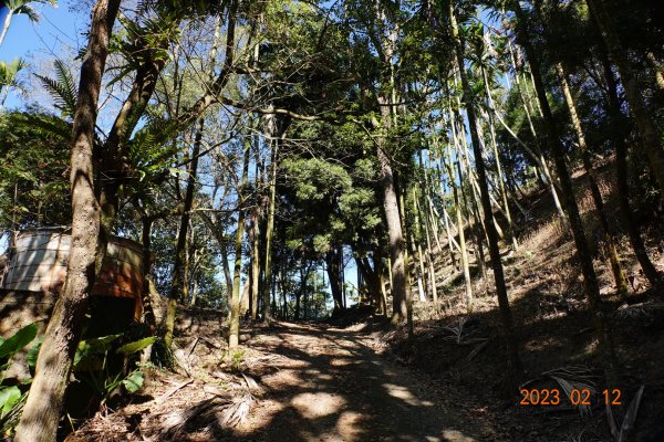 嘉義 竹崎 大坑山2032208