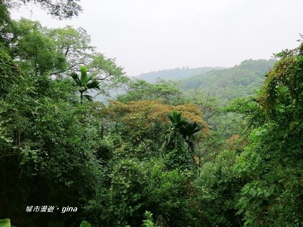 彰化二水~山林美境尋寶石~坑內坑森林步道1170781