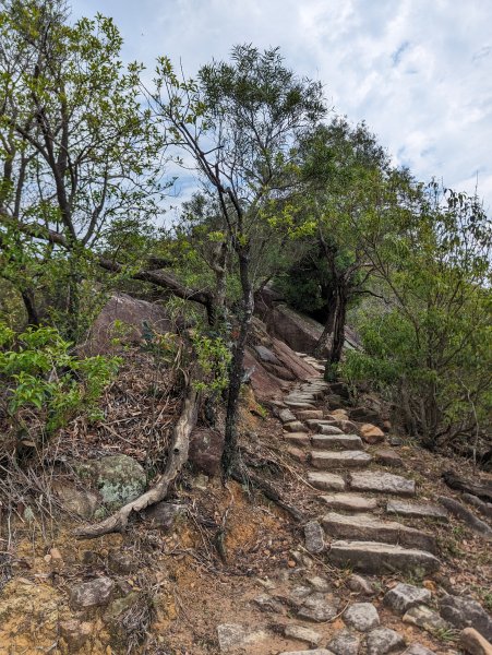 2024-03-31 金面山親山步道、剪刀石、象山親山步道2793313