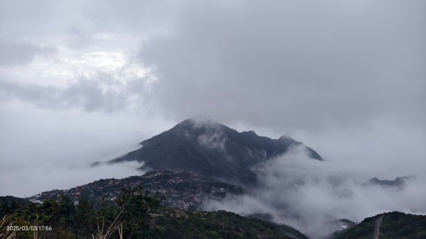 #樹梅坪 #琉璃光 出景首拍 3/32726279