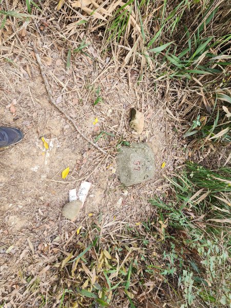 20260223柯子湖山菜堂山尖山沙湖壢山與寶山水庫基石3012605