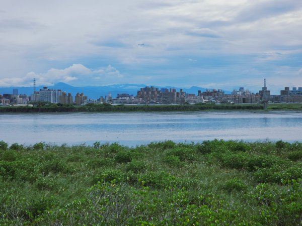 2025臺北大縱走第八段：捷運動物園站至捷運關渡站[河濱自行車道]2924040