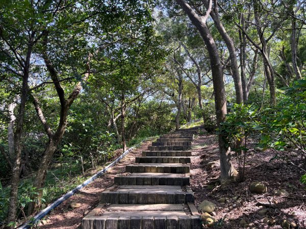 犁頭山、文山步道2835644