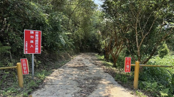 20240429 桃園復興枕頭山薑母島2492283
