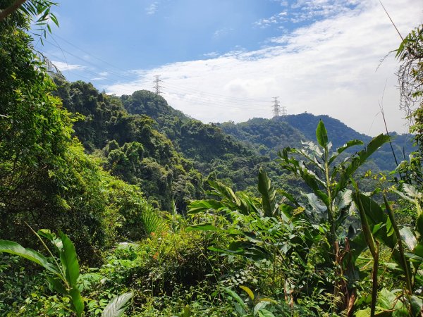 土城太極嶺，五城山，將軍嶺，文筆山，鶯歌石，牛灶坑山，龜公山，孫龍步道，二鬮山1654115