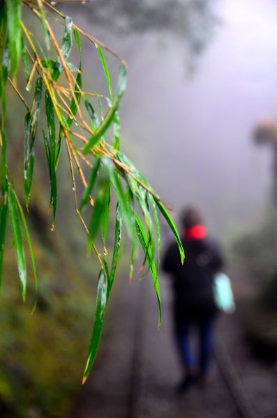 心靈步道..見晴古道101532