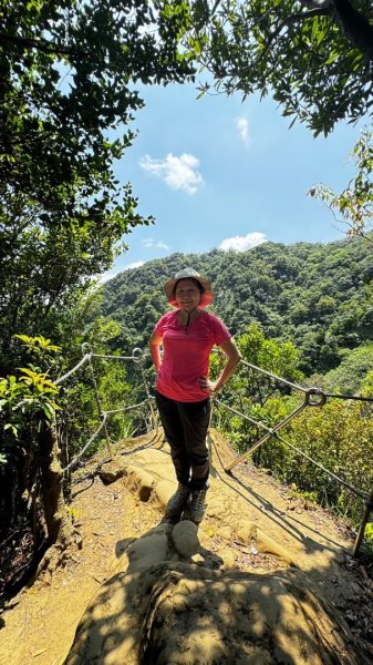 孝子山、普陀山、慈母峰賞鹿子野百合O走2592965