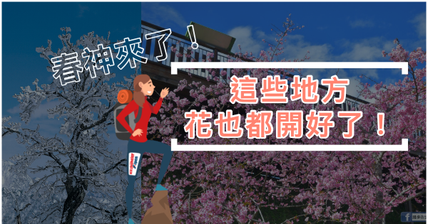 【賞花】春神來了，這些地方花也都開好了！