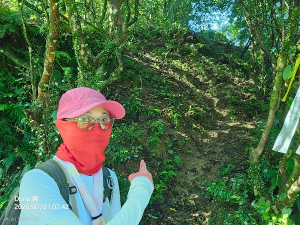 小格頭獅頭山.鱷魚島.八卦茶園3089952