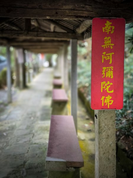 2025-03-08 汶水三山：金童山、汶水山、玉女山 連走2736586