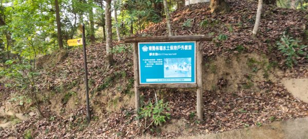 東勢林場森林浴場步道3019128