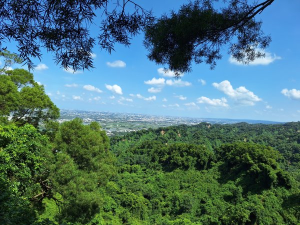 田中森林登山步道＋茶香步道＋赤水崎公園步道202508172862081
