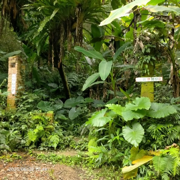 漢卿步道、秀才歩道（湖口萬善祠中元）2894422