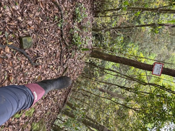 桂山路197巷 》呂奔山北峰 》呂奔山 》阿玉壩2755808