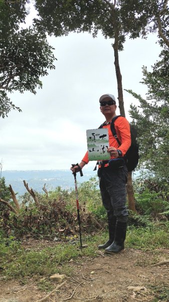 龜山五連星+大棟山O型2785152