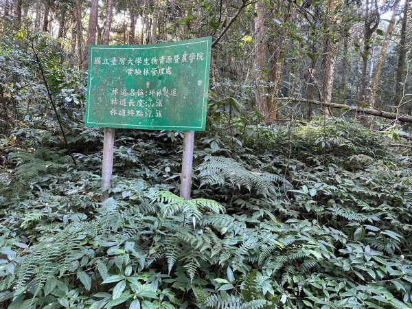 坪林林道走到線浸林道登馬路麻山和線浸山2384795