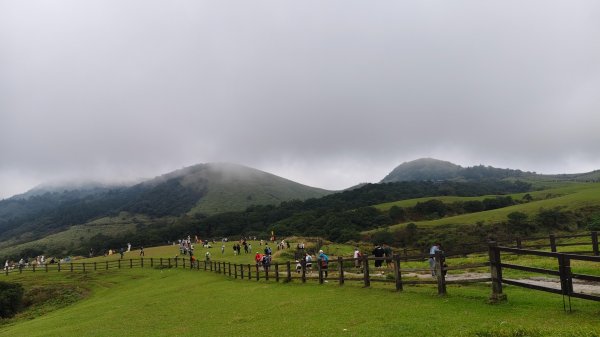 陽明山輕鬆走2991974