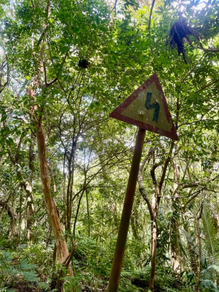 烏來阿玉溪山/西坑林道/探勘派出護管所彈藥庫遺址至獅坑橋2582025