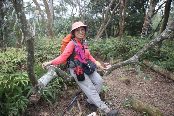 2022-3-6 小飛沙縱走─九讚頭→龍眼園窩山→鹿寮坑山→小尾山→茄冬窩山→龜殼山→三爺坑山→石潭站