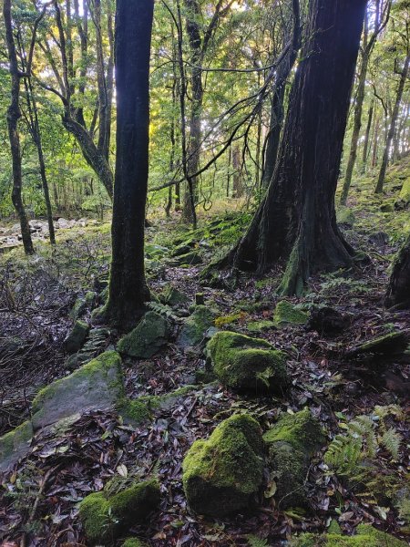 稍來小雪山國家步道、船型山、鞍馬山、鞍馬山東北峰、天池、雪山神木2799825