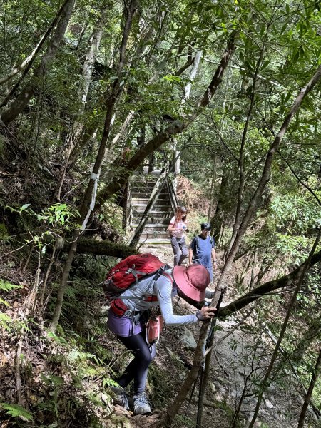 塔曼山 連走 拉拉山森林遊樂區 O繞 202510112923692