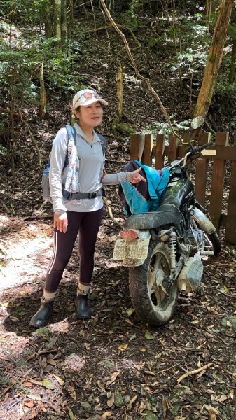 雪見大板根2877611