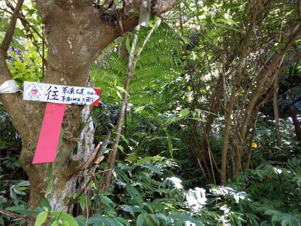 指南宮步道1453929