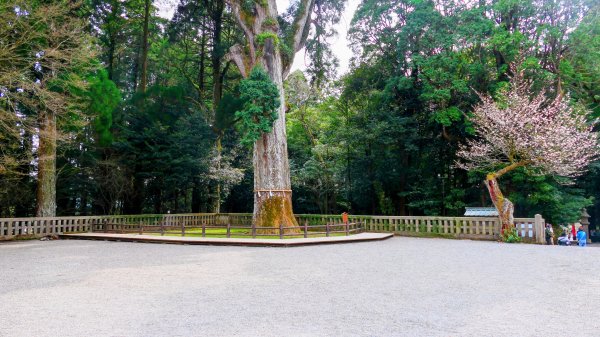 鹿兒島霧島神宮,神水峽3028253