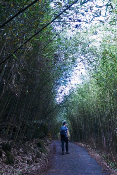 健行｜台南關子嶺大凍山1094159