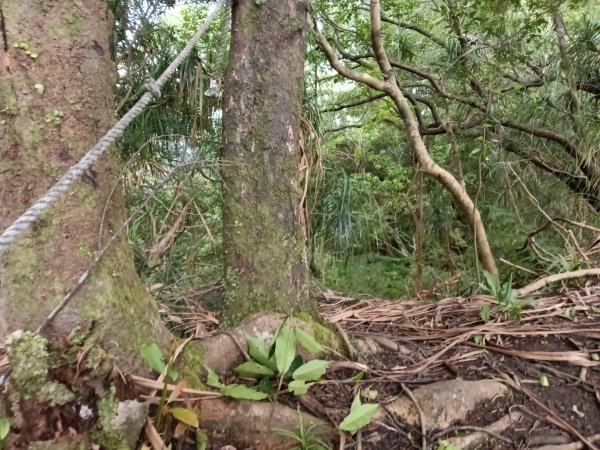 平溪區平溪子山遇雷雨O型2850148