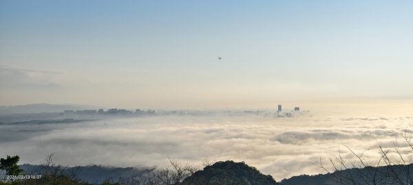 #觀音山 #雲海 #夕陽 #天空之城 #大赤鼯鼠（飛鼠） 2/132999427