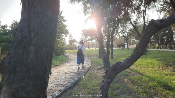 《台中》海濱夕陽｜龜殼生態公園連走大安紅樹林生態步道202410202632411