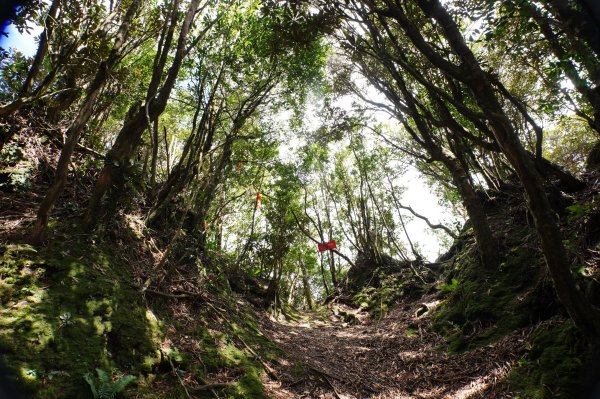 新竹 尖石 貴妃山、那結山2913617