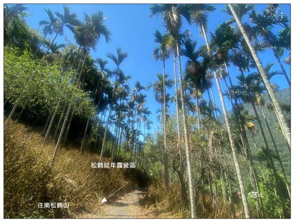 南松鶴山～八仙山 (台中 和平)2926065