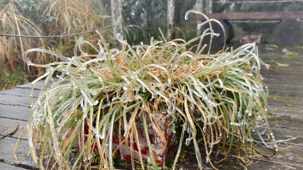 #霧淞 #雲海 #雲瀑 #霧虹 #太平山 #望洋山 #觀雲步道 #翠峰道路  2/82995336