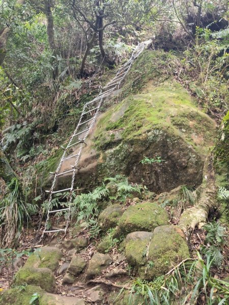 微笑山線：【二格山系】皇帝殿稜線段3003095