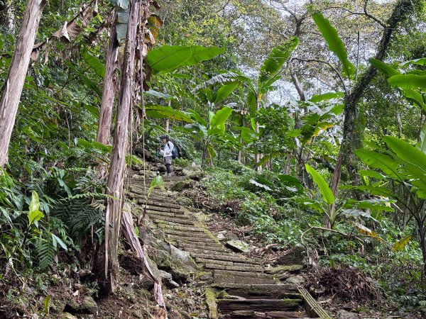 鯉魚山步道群2728333
