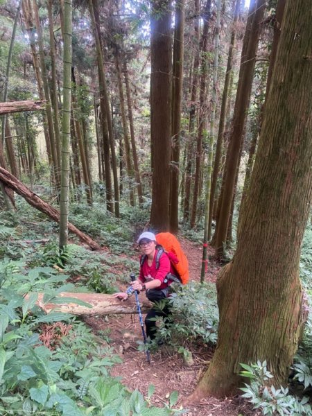 【嘉義頂湖】芙蓉山連走天福山1534896