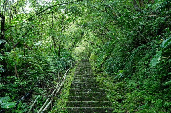 新北 平溪 薯榔尖、石筍尖、魔神仔洞2772542