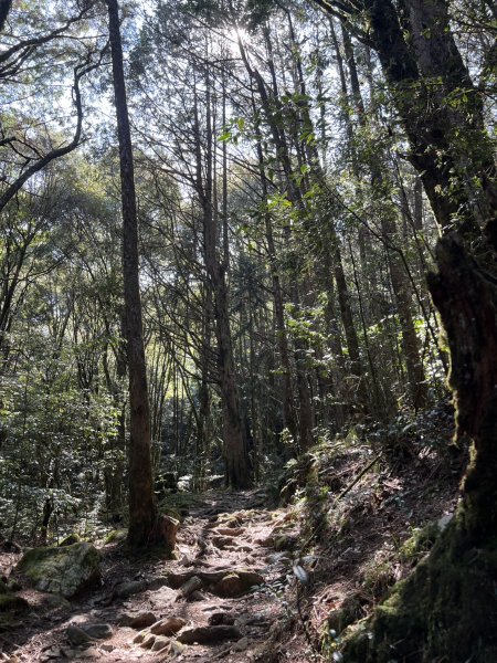 小百岳-稍來山2752442
