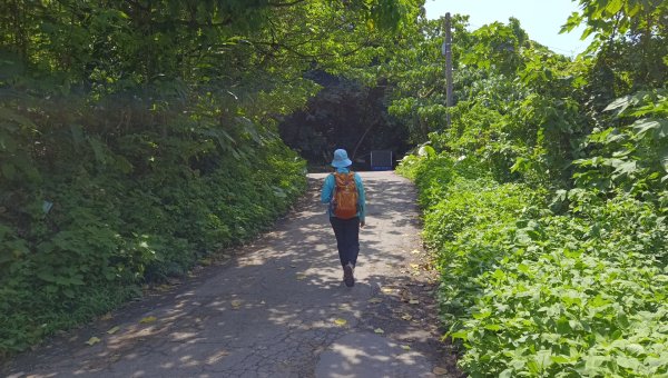 (姨婆趴趴走)第五十三集:台北內湖三山（白鷺鷥山、康樂山、明舉山）連走2774600