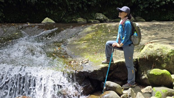 陽明山冷門好走步道平溪步道，欣賞石斛蘭瀑布不用去南部，無敵展望鵝尾山水田，涼爽好走狗殷勤古道。2784871