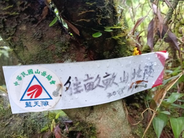 平溪區善覺寺步道+畝畝山北稜線+畝畝山+石硿子瀑布+灰窯瀑布O型2940015