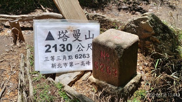 [爬山趣]  新北市第一高峰...塔曼山