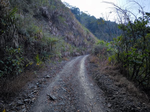 2026-02-10 白雲山2999932