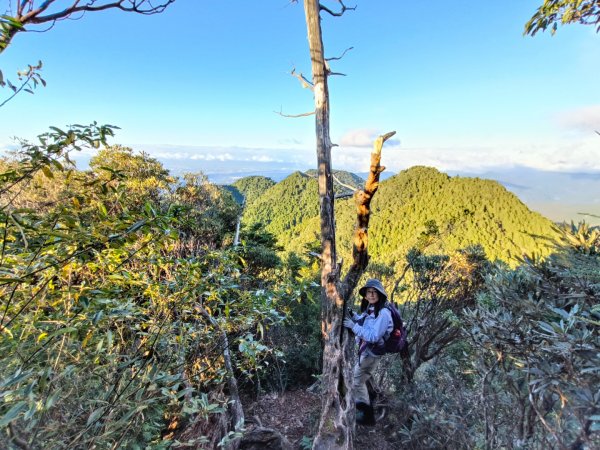 1121125 鳥嘴山縱走貴妃山2363993