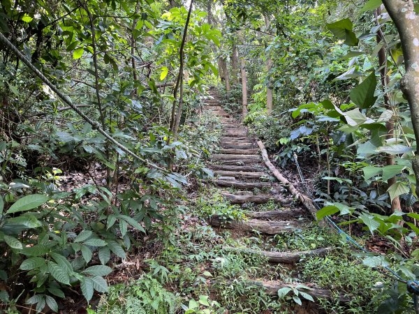 [屏步青雲 尋寶任務-08/10] 2024_1006 棚集山步道2617049