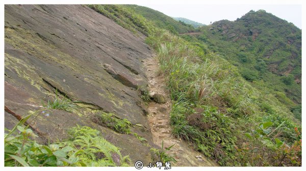 小錐麓 劍龍稜  鋸齒稜 採金舊道 哈巴狗岩1384641