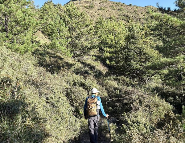 合歡北峰散步趣  2025.10.152923164